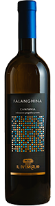 Campania Falanghina IGP